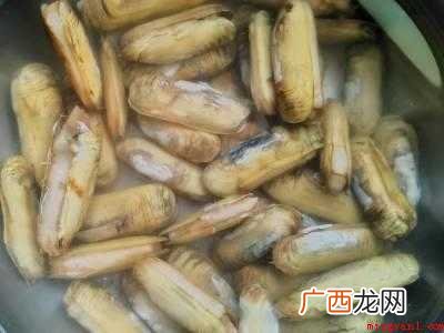 小人仙怎么处理干净的具体操作步骤 小人仙怎么处理干净