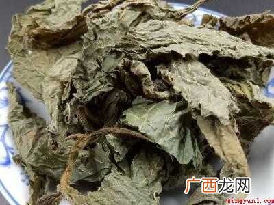 紫苏怎么保存一年的具体操作步骤 紫苏怎么保存一年