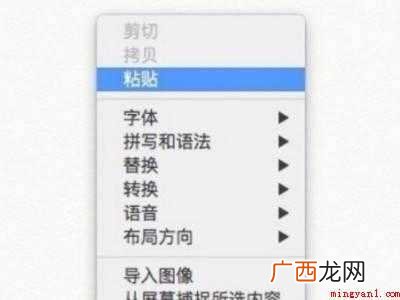 苹果笔记本复制粘贴怎么操作