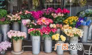 挑选合适的花材供应商特别重要 新手开花店注意事项和方法