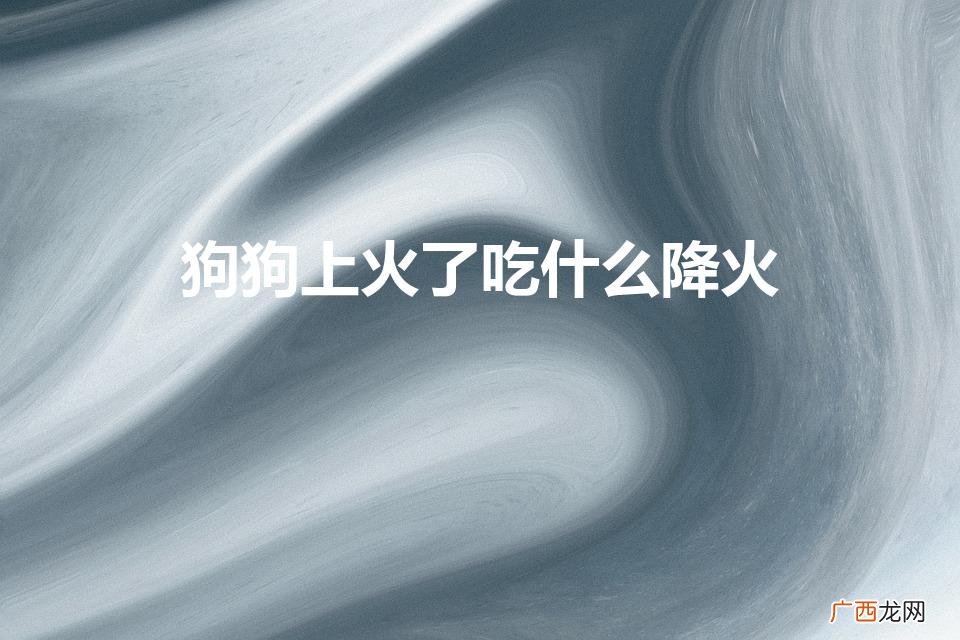 狗狗上火了吃什么降火（狗狗降火最好的办法)