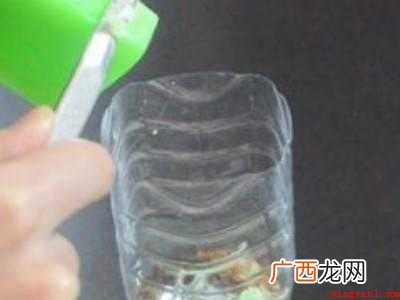 蟑螂怎么处理比较彻底的具体操作步骤 蟑螂怎么处理比较彻底