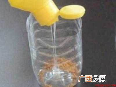 蟑螂怎么处理比较彻底的具体操作步骤 蟑螂怎么处理比较彻底