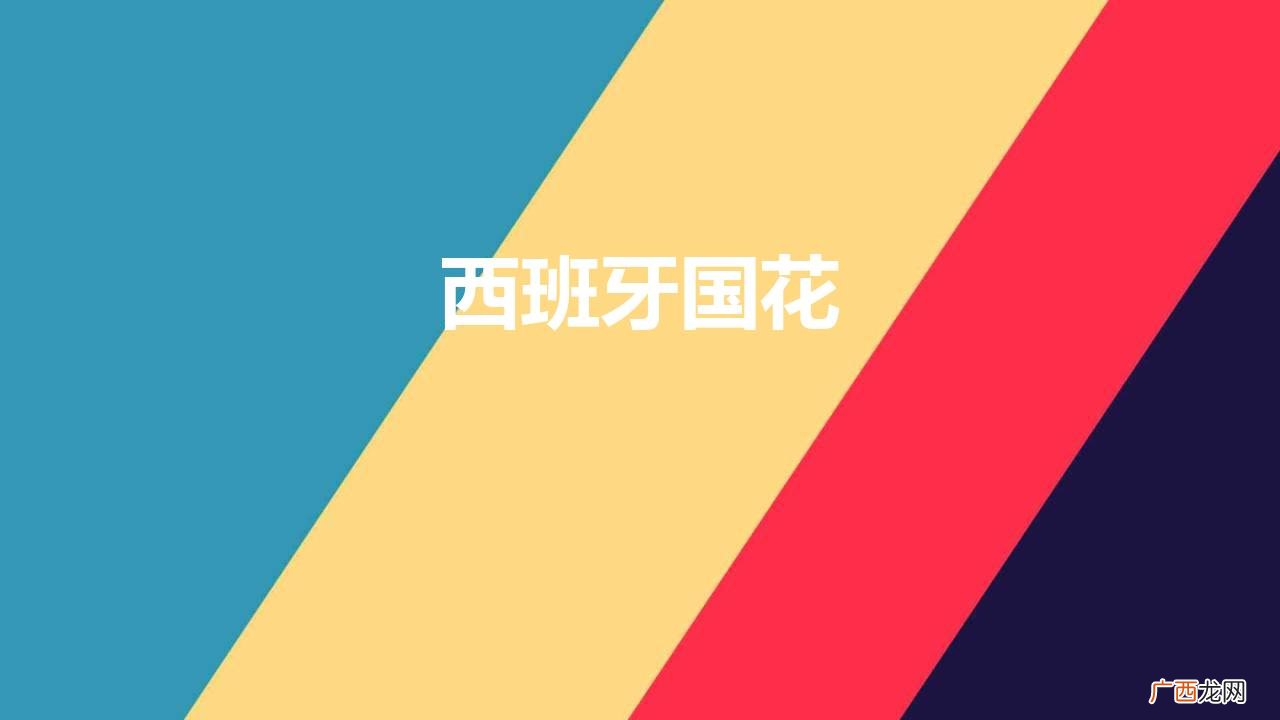 西班牙的国花为什么是石榴花 西班牙国花