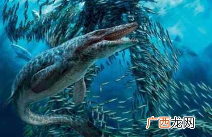 远古十大凶猛巨兽 世界公认远古十大猛兽排名