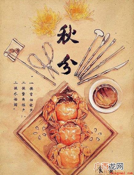 秋分代表秋季丰收、代表的节气是“秋季中间”,昼短夜长,很容易