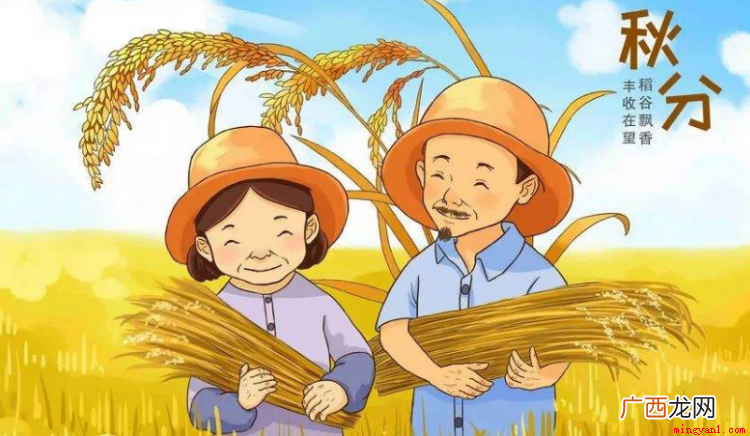 秋分代表秋季丰收、代表的节气是“秋季中间”,昼短夜长,很容易