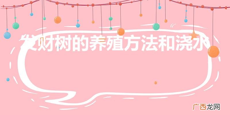 发财树的养护和浇水 发财树的养殖方法和浇水