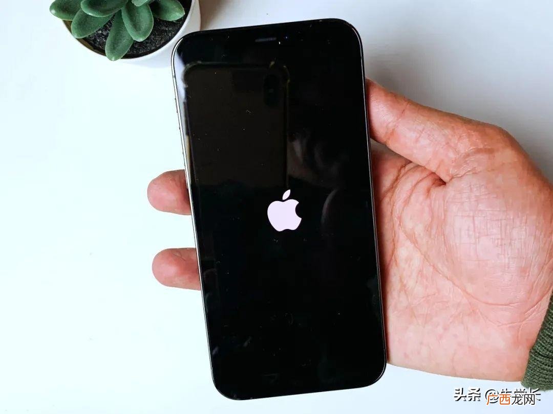 反复亮标不开机怎么解决 苹果开机一直显示白苹果然后黑屏