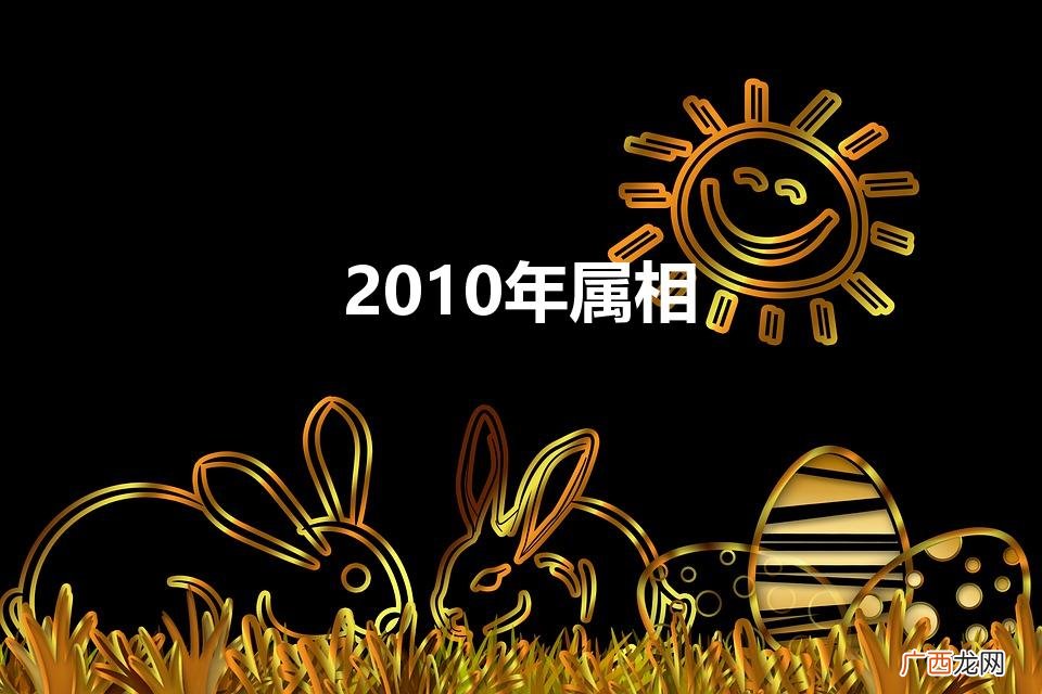 2010年属相