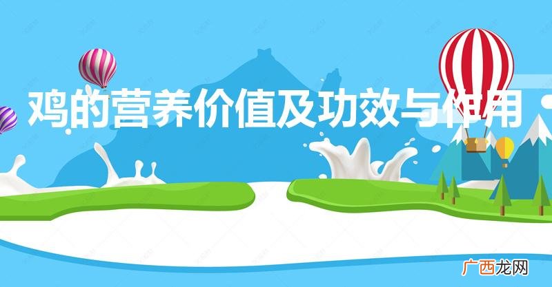 母鸡的营养价值及功效 鸡的营养价值及功效与作用