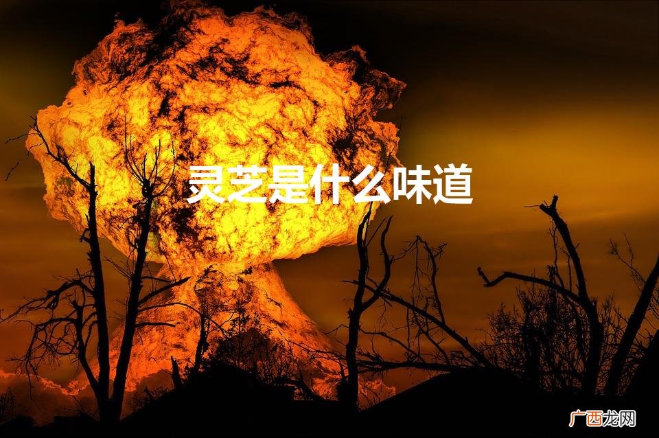 灵芝是什么味道 一般都是苦 灵芝是什么味道