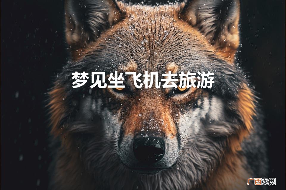 梦见坐飞机旅游 梦见坐飞机去旅游