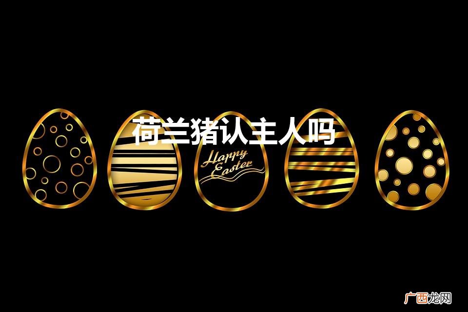 荷兰猪认主人吗（多久认主人)