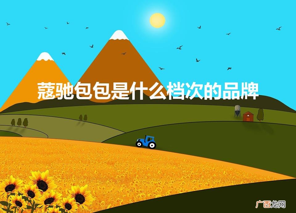 coach属于什么档次 蔻驰包包是什么档次的品牌