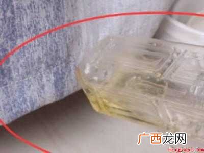 床上爬蟑螂怎么办的具体操作步骤 床上爬蟑螂怎么办