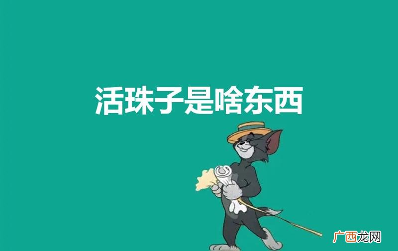 有什么营养价值 活珠子是啥东西