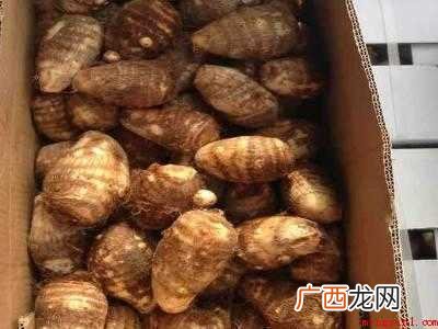 芋头夏天如何保存方法的具体操作步骤 芋头夏天如何保存方法