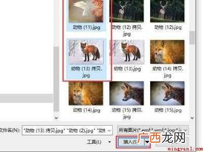 word大量图片排版布局的具体操作步骤 word大量图片排版布局