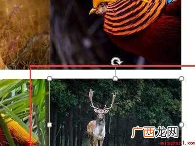 word大量图片排版布局的具体操作步骤 word大量图片排版布局