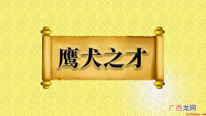 成语是【鹰犬之才】 成语鹰犬之才什么意思