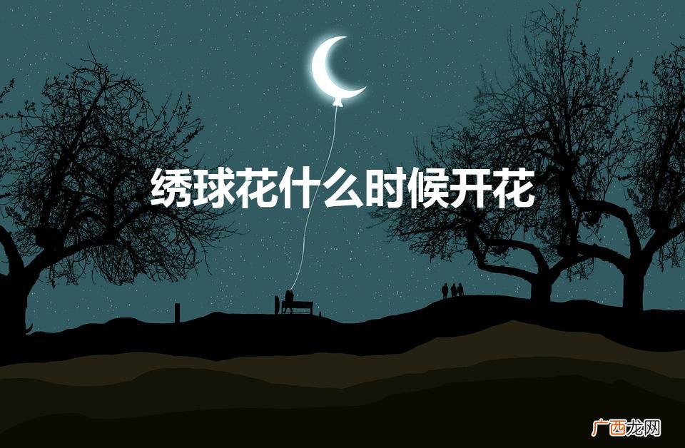 绣球花什么时候开花（绣球花为什么又叫死人花)