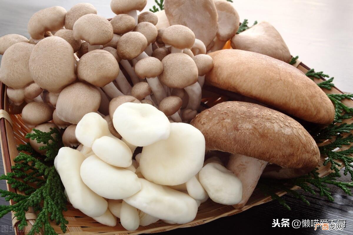 产地、外观及口感都不同 杏鲍菇和鸡腿菇的区别图片