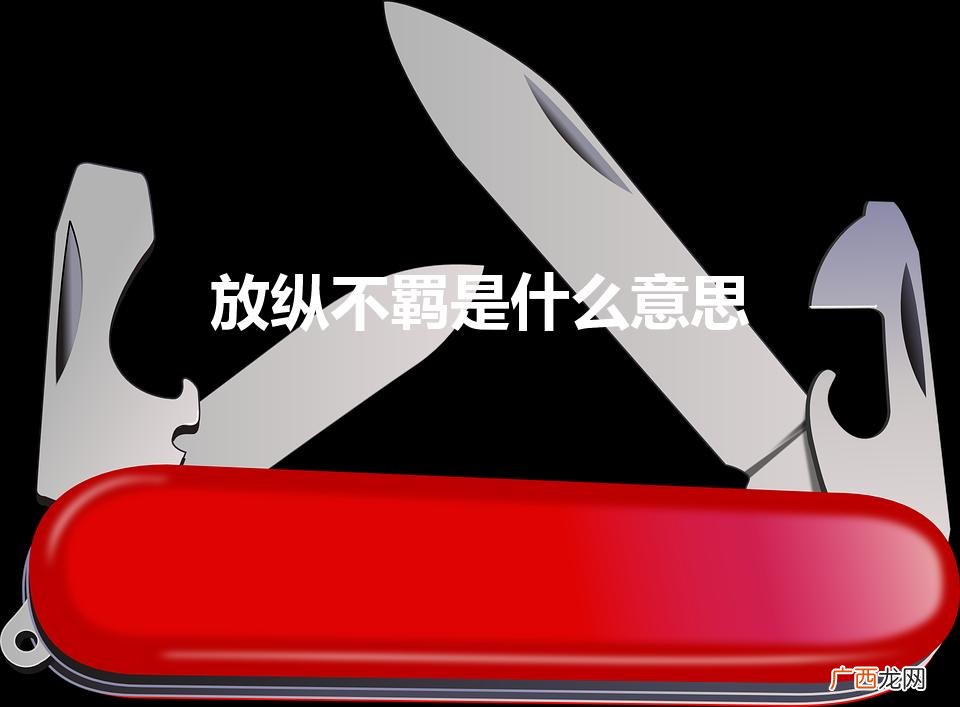成语不羁放纵怎么理解 放纵不羁是什么意思