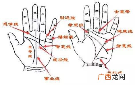 女人难逃大富大贵手相 女人掌纹清晰干净命好