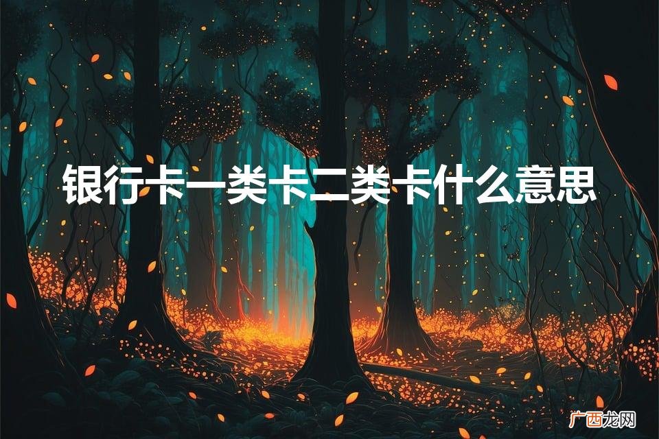 银行卡一类卡二类卡什么意思（哪个银行卡好办)