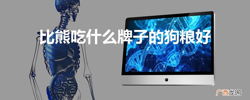 比熊吃什么牌子的狗粮好（三个月的比熊吃什么牌子的狗粮好)