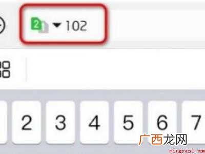 演示机型:Iphone 12 电信查余额