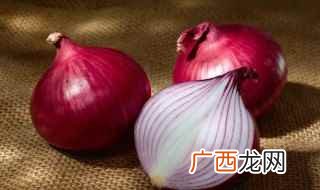 洋葱的英语:Onion 洋葱英语怎么读