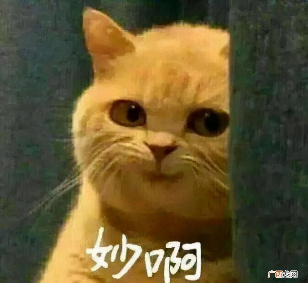 大学生在宿舍可以做的赚钱项目 36种在寝室赚钱方式