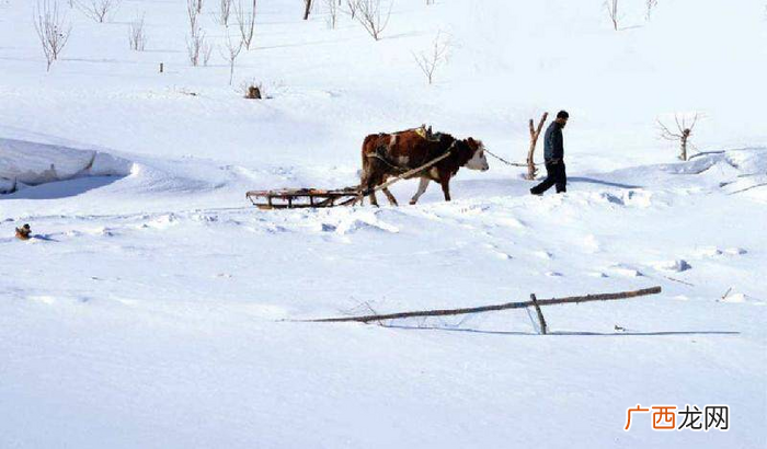 关于二十四节气大雪的意义 大雪节气的含义是什么