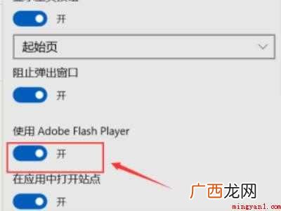 win10总提示flash未安装的具体操作步骤 win10总提示flash未安装
