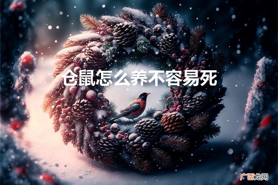 仓鼠怎么养不容易死（为什么养仓鼠容易死)