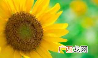 飞短流长和蜚短流长各是什么意思 飞短流长和蜚短流长解释