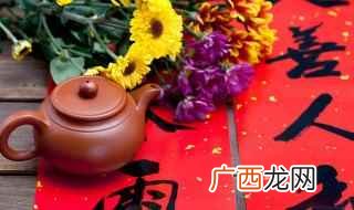 九州四海财宝、上联、春来江水绿如蓝、横批:鸟语花香 春节对联