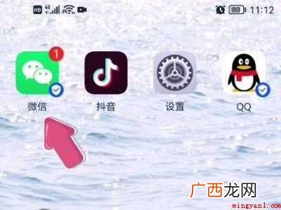演示机型:Iphone 12 如何在微信上订高铁票