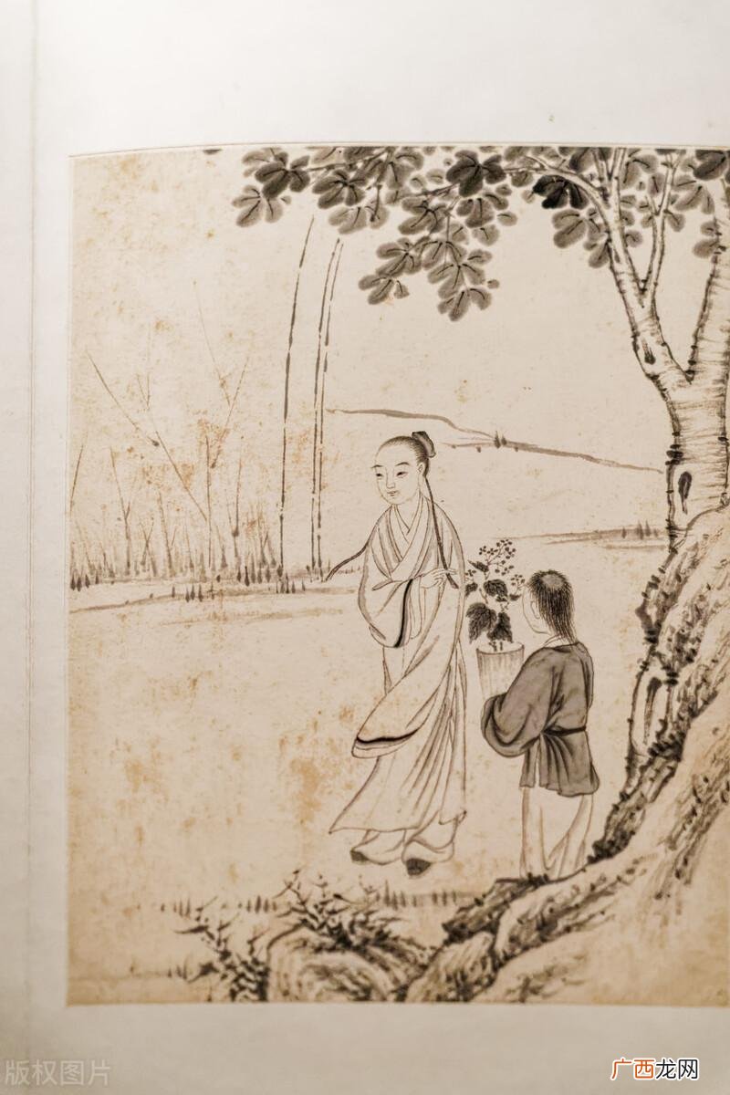 容妃真的刷了27年马桶吗 魏东亭历史上有此人吗