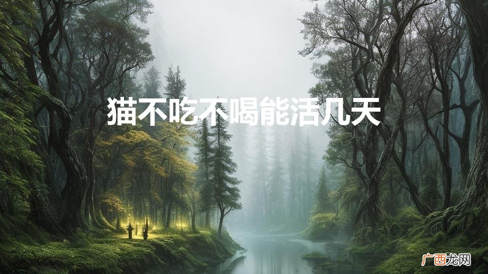 猫咪不吃不喝可以活几天 猫不吃不喝能活几天