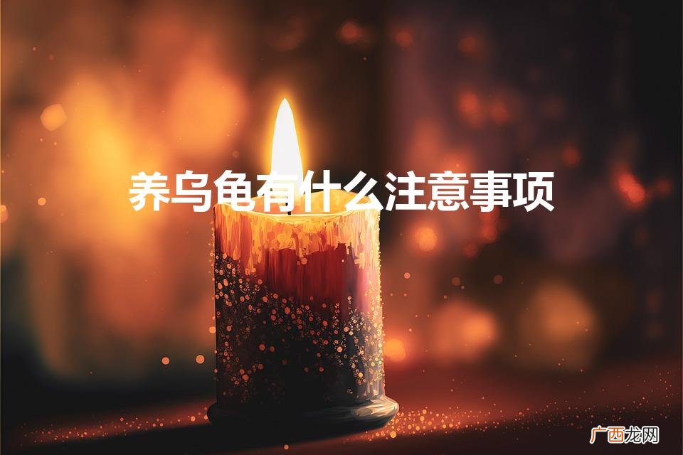 养乌龟有什么注意事项（新手养龟的方法)