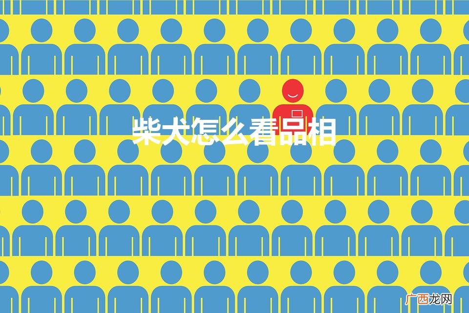 柴犬怎么看品相（柴犬怎么挑选)