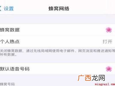 怎么查苹果11是不是双卡双待的具体操作步骤 怎么查苹果11是不是双卡双待