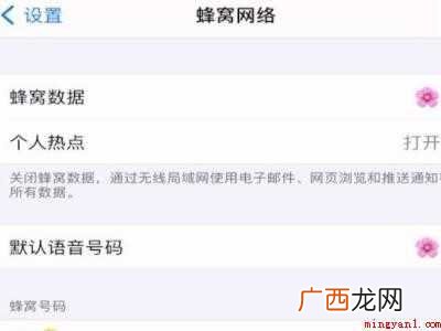 怎么查苹果11是不是双卡双待的具体操作步骤 怎么查苹果11是不是双卡双待