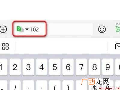 演示机型:Iphone 12 电信余额查询短信