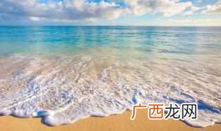 世界上最厉害的海洋生物 现在最厉害的海洋生物是谁