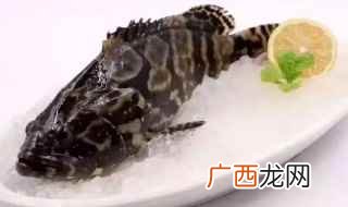 老虎斑鱼的处理方法有哪些 老虎斑鱼的做法