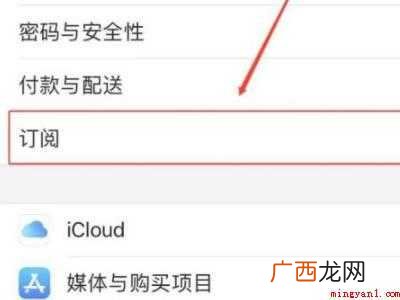 苹果11怎么关闭自动续费的具体操作步骤 苹果11怎么关闭自动续费
